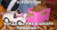 Невинные фотографии, которые выглядят как нечто пошлое