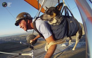 Это Дельтаплан б_л_я_д_ь!!!!!!