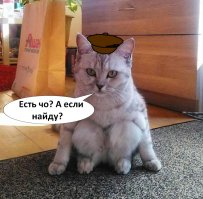  Эй, нефор!