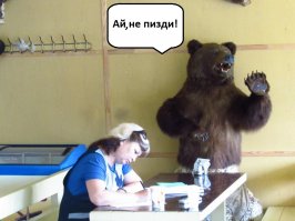 Фотоподборка за 25.08.2016