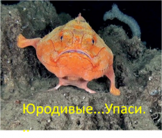 15 самых страшных и опасных животных мира