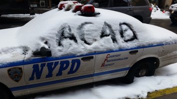 Когда ты чихать хотел на эту полицию