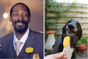 Забавные сходства мировых звёзд и персонажей мультфильмов  