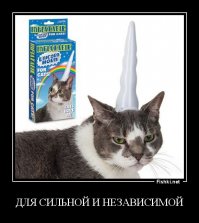 11 вещей, без которых мы непонятно как обходились раньше