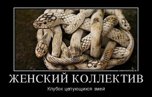 Типичный женский коллектив
