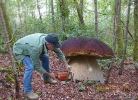 издеваетесь суббота только послезавтра:) ничего будет и на нашей улице праздник;)