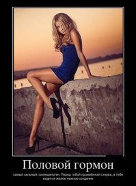 Демотиваторы 25.08.2016