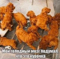 Раскрыт секретный рецепт жареной курицы KFC