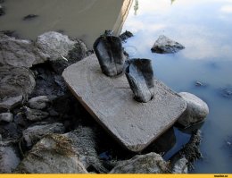 Странные вещи со всего мира