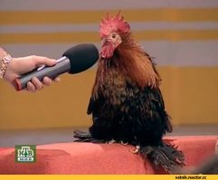 Фотоподборка за 25.08.2016