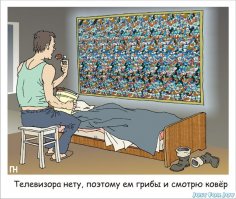 Грибная пора в Московской области
