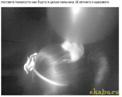 Забавные и смешные фото приколы из серии "Отфотошопте меня"