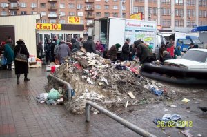 Подснежники, ранняя весна. Киев.