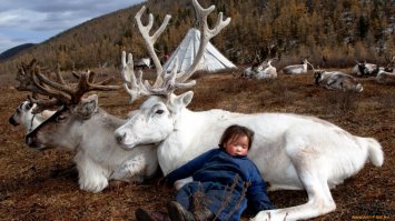 Жаль тех детей которые не могут играть с красивыми игрушками, а еще жаль тех кто не может расти рядом с животными. Это я про своих, у них аллергия и им нельзя держать живность дома.
