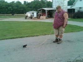 Демотиваторы 25.08.2016