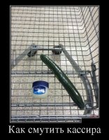 Когда покупатель мужик.. :)