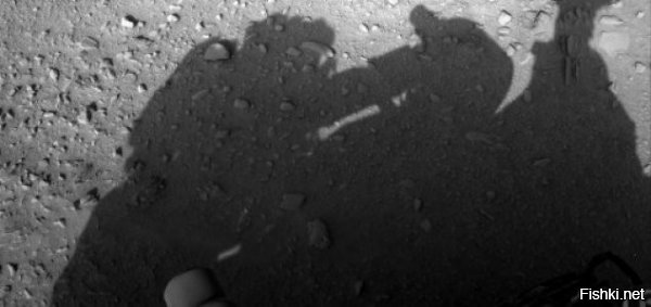 А что любители космоса скажут по поводу лемминга на фотках с Марса? 


Или по поводу полуразложившейся ПЭТ-бутылки?


А вот фотки с базы НАСА на острове Девон:




А вот якобы с Марса. Что-то тень смахивает на людей в скафандрах на предыдущих фотках: