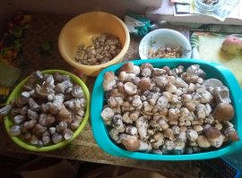 Так выглядит 8 килограмм боровиков. Выброшено было около 5% не более.