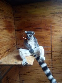 Пляжные виды