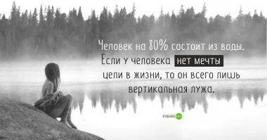 Если у человека цели в жизни, то он всего лишь вертикальная лужа... очень целеустремлённая вертикальная лужа!