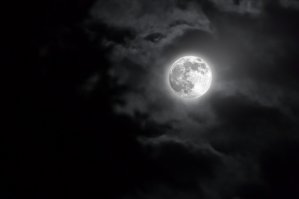 крутая фотка, такая аппаратура мне, как любителю, не по карману. С помощью сигмы на 300мм, кропнутого фотика и гимпа я смог только вот так.