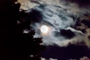 крутая фотка, такая аппаратура мне, как любителю, не по карману. С помощью сигмы на 300мм, кропнутого фотика и гимпа я смог только вот так.