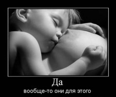 вот добрая картинка...