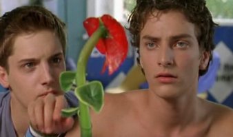 Необычные цветы, которые выглядят как нечто совсем иное