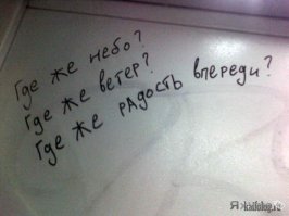 Фотоподборка за 26.08.2016