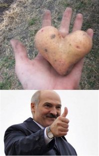 Подборка картинок и гифок