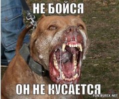 Непривязанная собака загрызла 3-летнего мальчика, который пришел в гости к другу