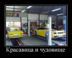 Свежая подборка автоприколов