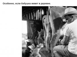 Хороша бабуля!