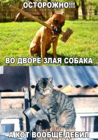 Свежaя подборкa смешных тaбличек, предостерегaющих от злых собaк   