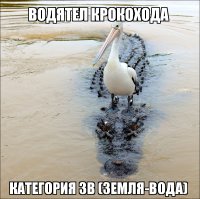 Подборка смешных фото