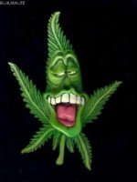 Необычные цветы, которые выглядят как нечто совсем иное