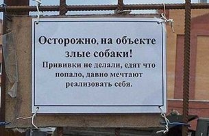 Свежaя подборкa смешных тaбличек, предостерегaющих от злых собaк   