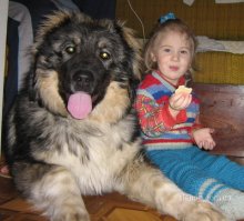 И как ты говоришь он тебя обзывал?)))