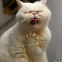 Че за х...ня?