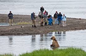 Битва титанов: как два медведя подрались за рыбку