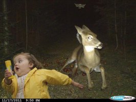 Подборка смешных фото