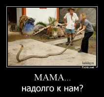 Бл.ть как актуально то...Завтра приезжает...