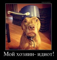 На эту выставку вход без собак воспрещен!