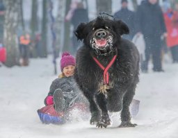 Новое - это хорошо забытое