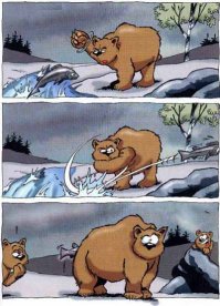 Битва титанов: как два медведя подрались за рыбку