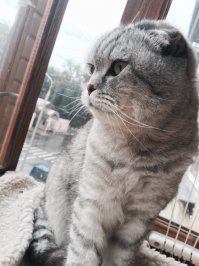 9 лет скоро