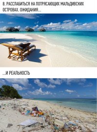 Новозеландская парочка бросила работу и отправилась путешествовать по миру