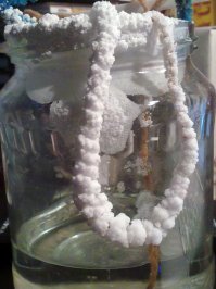 На уроках природоведения в 3 классе она разве не выращивала кристаллы соли?