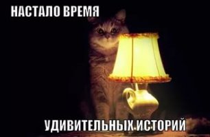 Конфуз в трамвае