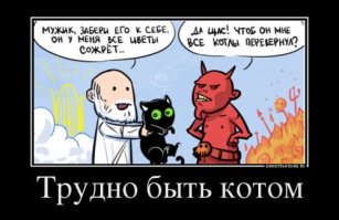 Военные коты